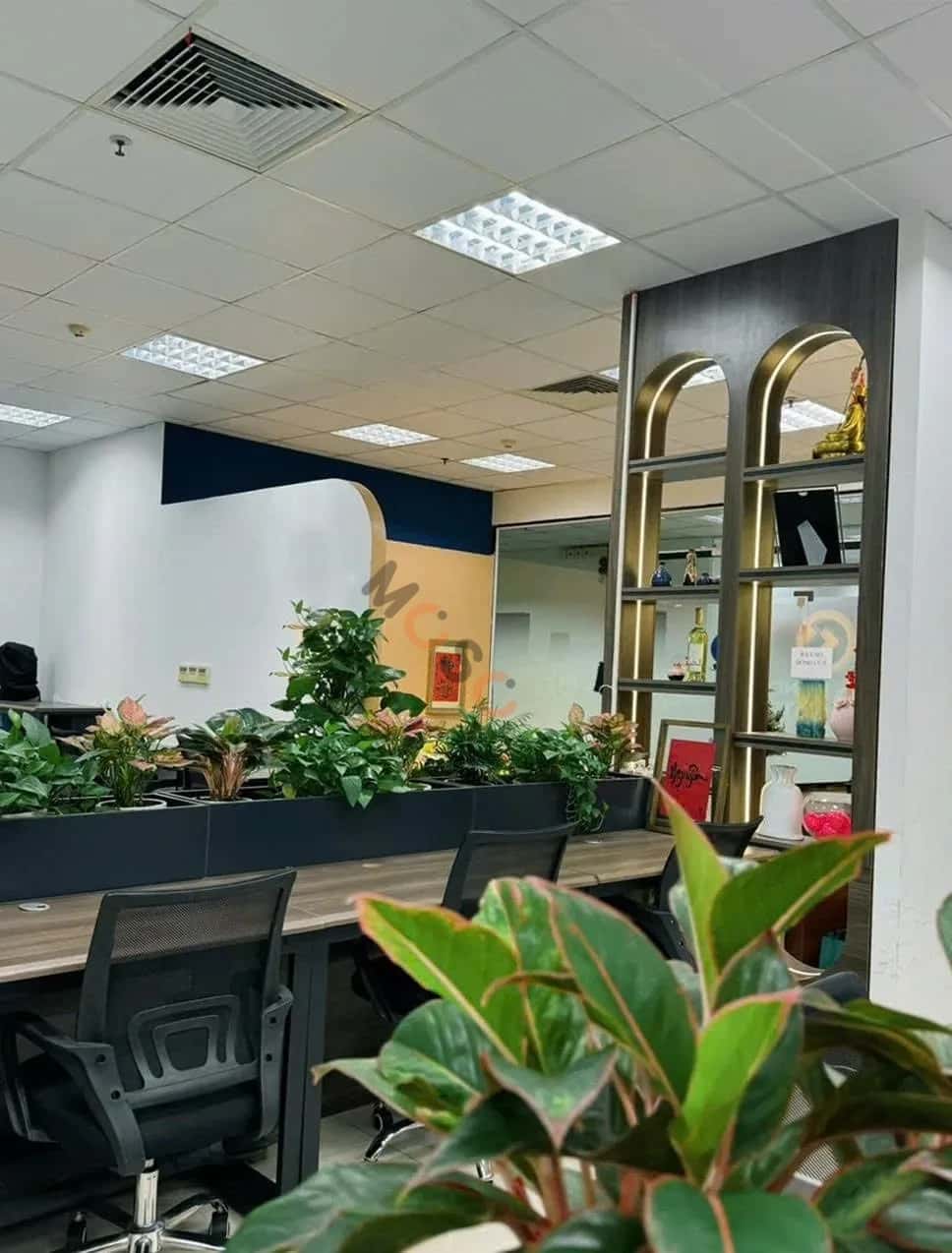 Cho thuê văn phòng Quận Thanh Xuân, Hà Nội – giá 50 triệu Cho thuê văn phòng Quận Thanh Xuân, Hà Nội – giá 50 triệu