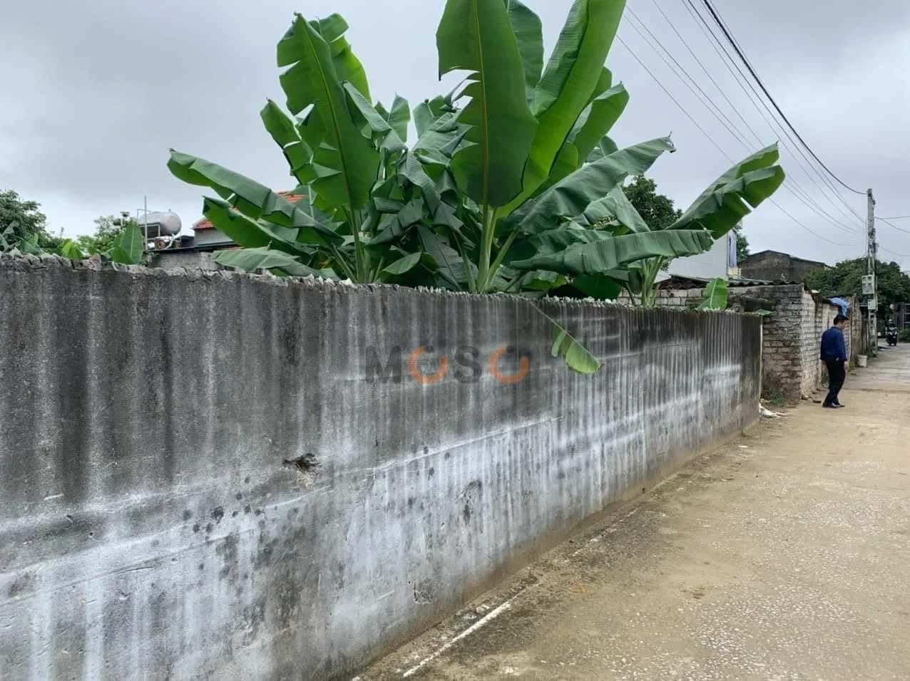 Bán đất Ngô Quyền Thành phố Sầm Sơn, Thanh Hóa – giá 10.3 tỷ — Hình 2