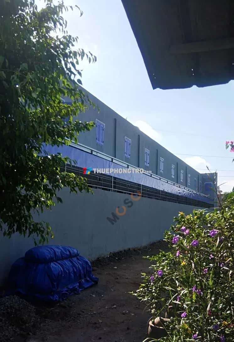 Cho thuê phòng trọ Trần Đại Nghĩa Bình Chánh, TP.HCM – 1 phòng ngủ, giá 1.6 triệu — Hình 3