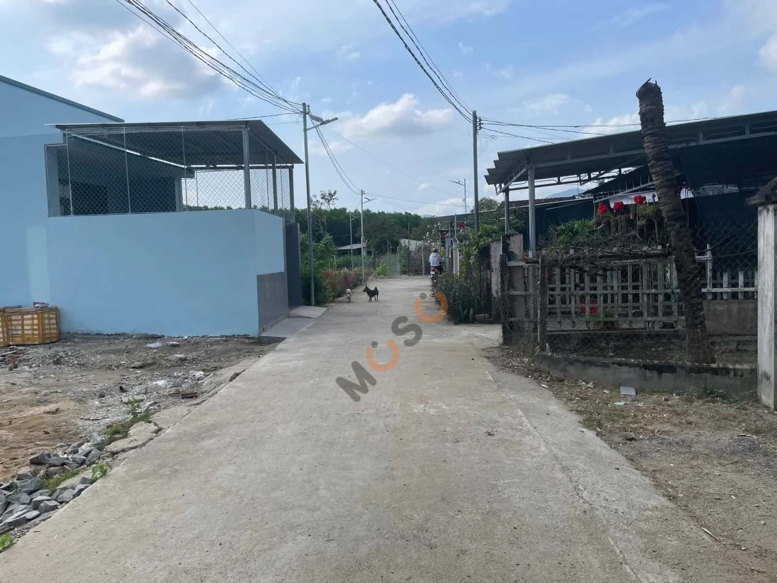 Bán đất đường Gò Mây, thôn Phò Thiện  Huyện Diên Khánh, Khánh Hòa – giá 890 triệu - ảnh 3
