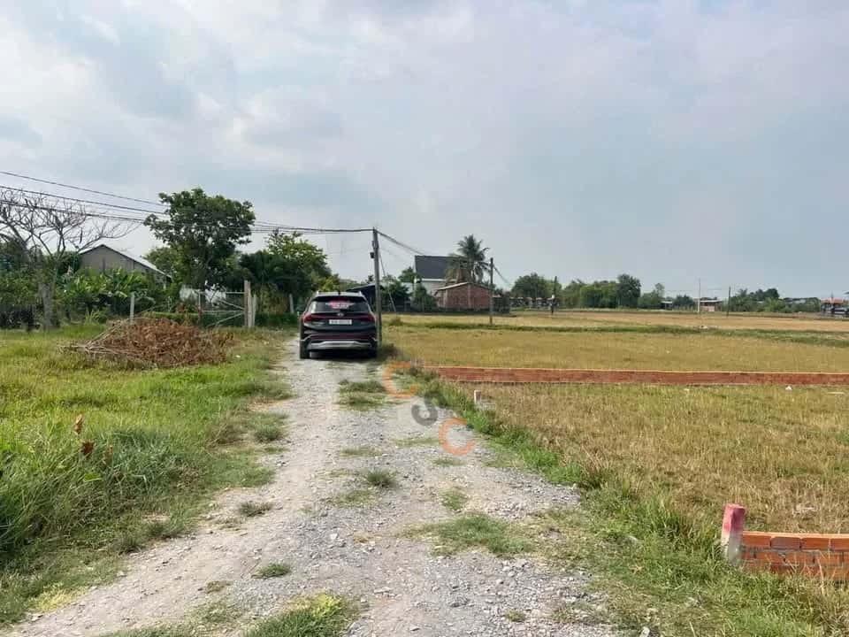 Bán đất đường 823D Huyện Đức Hòa, Long An – giá 550 triệu — Hình 3