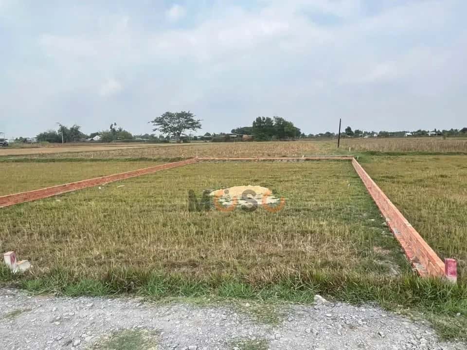 Bán đất đường 823D Huyện Đức Hòa, Long An – giá 550 triệu