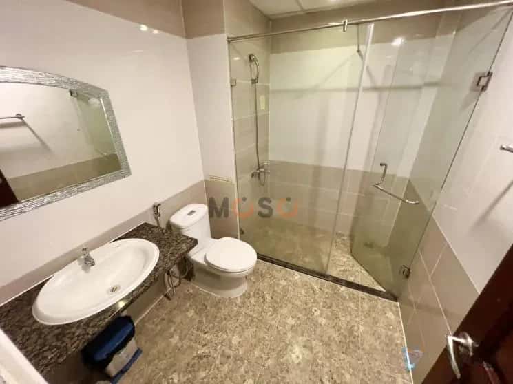 Cho thuê căn hộ chung cư Phạm Văn Hai Tân Bình, TP.HCM – 1 phòng ngủ, giá 9 triệu — Hình 3