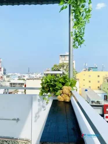 Cho thuê căn hộ chung cư Đường Hồ Văn Huê Phú Nhuận, TP.HCM – 1 phòng ngủ, giá 7 triệu — Hình 2