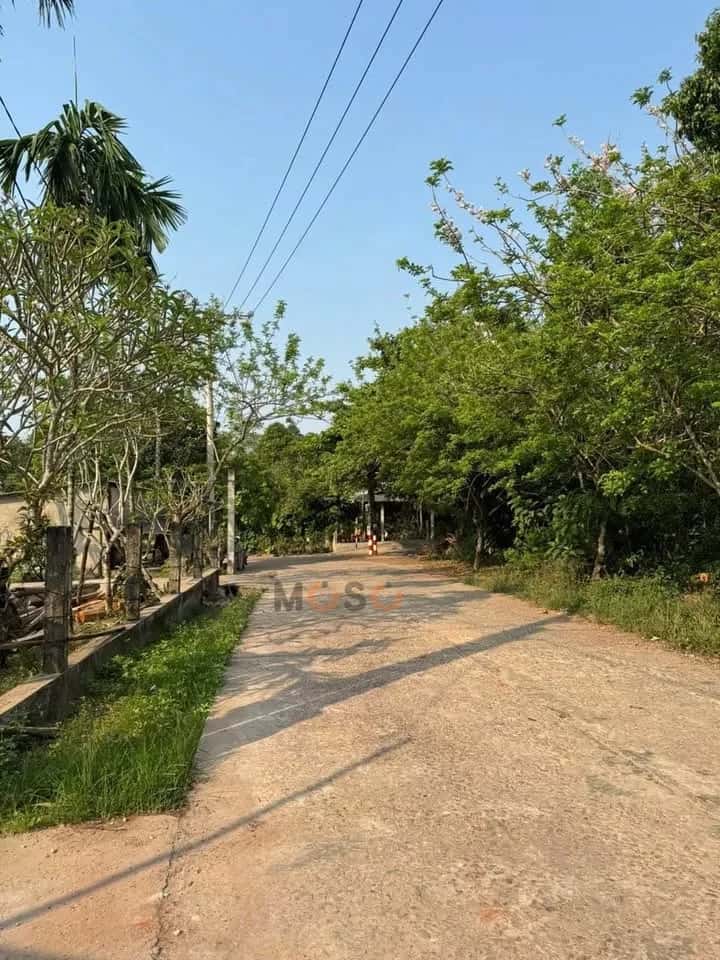 Bán đất K44 Vũ Ngọc Phan Quận Thuận Hóa, TP. Huế – giá 1.4 tỷ - ảnh 2