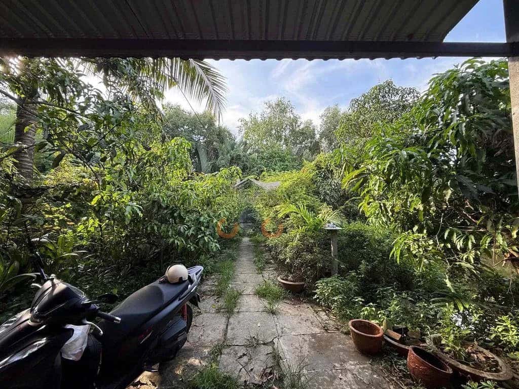 Cho thuê đất Quốc Lộ 50 Huyện Bình Chánh, TP.HCM – giá 12 triệu — Hình 2 Cho thuê đất Quốc Lộ 50 Huyện Bình Chánh, TP.HCM – giá 12 triệu — Hình 2