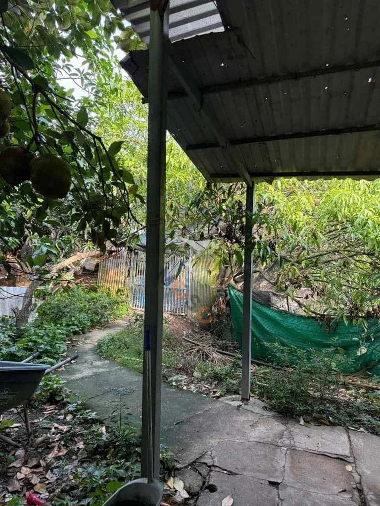Cho thuê đất Quốc Lộ 50 Huyện Bình Chánh, TP.HCM – giá 12 triệu — Hình 3 Cho thuê đất Quốc Lộ 50 Huyện Bình Chánh, TP.HCM – giá 12 triệu — Hình 3