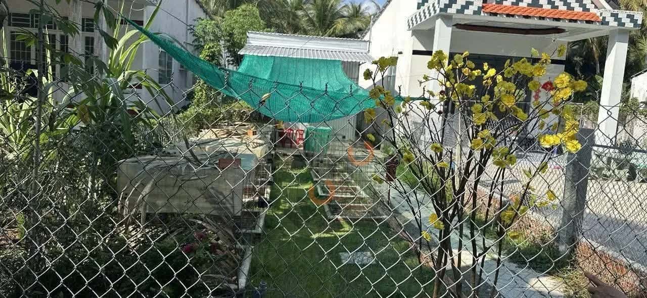 Bán đất hẻm đường ĐH 62 Huyện  Vũng Liêm, Vĩnh Long – giá 355 triệu — Hình 2