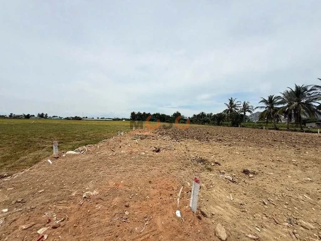 Bán đất Nguyễn Trác Thành phố Phan Rang-Tháp Chàm, Ninh Thuận – giá 500 triệu — Hình 2 Bán đất Nguyễn Trác Thành phố Phan Rang-Tháp Chàm, Ninh Thuận – giá 500 triệu — Hình 2