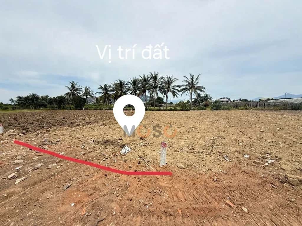 Bán đất Nguyễn Trác Thành phố Phan Rang-Tháp Chàm, Ninh Thuận – giá 500 triệu Bán đất Nguyễn Trác Thành phố Phan Rang-Tháp Chàm, Ninh Thuận – giá 500 triệu