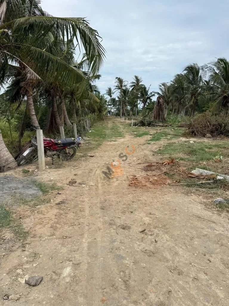 Bán đất Nguyễn Trác Thành phố Phan Rang-Tháp Chàm, Ninh Thuận – giá 500 triệu — Hình 3 Bán đất Nguyễn Trác Thành phố Phan Rang-Tháp Chàm, Ninh Thuận – giá 500 triệu — Hình 3