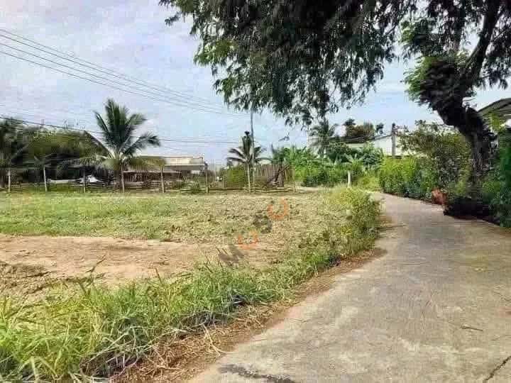 Bán đất ĐT 833 Thành phố Tân An, Long An – giá 580 triệu — Hình 3