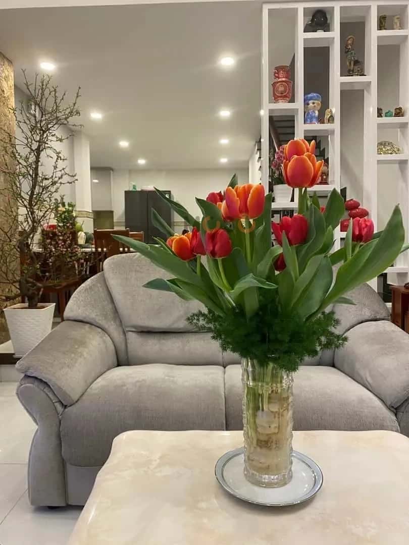 Cho thuê phòng trọ Đường Khánh Hội Thành phố Hồ Chí Minh, TP.HCM – 1 phòng ngủ, giá 5.5 triệu — Hình 2