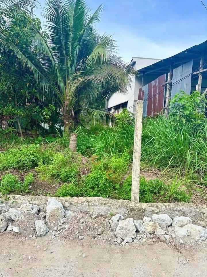 Bán đất thôn Xuân Phú 1  Huyện Diên Khánh, Khánh Hòa – giá 590 triệu
