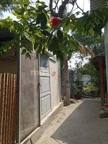 Cho thuê nhà hẻm Đường Huỳnh Tấn Phát Huyện Nhà Bè, TP.HCM – giá 4 triệu — Hình 3 Cho thuê nhà hẻm Đường Huỳnh Tấn Phát Huyện Nhà Bè, TP.HCM – giá 4 triệu — Hình 3