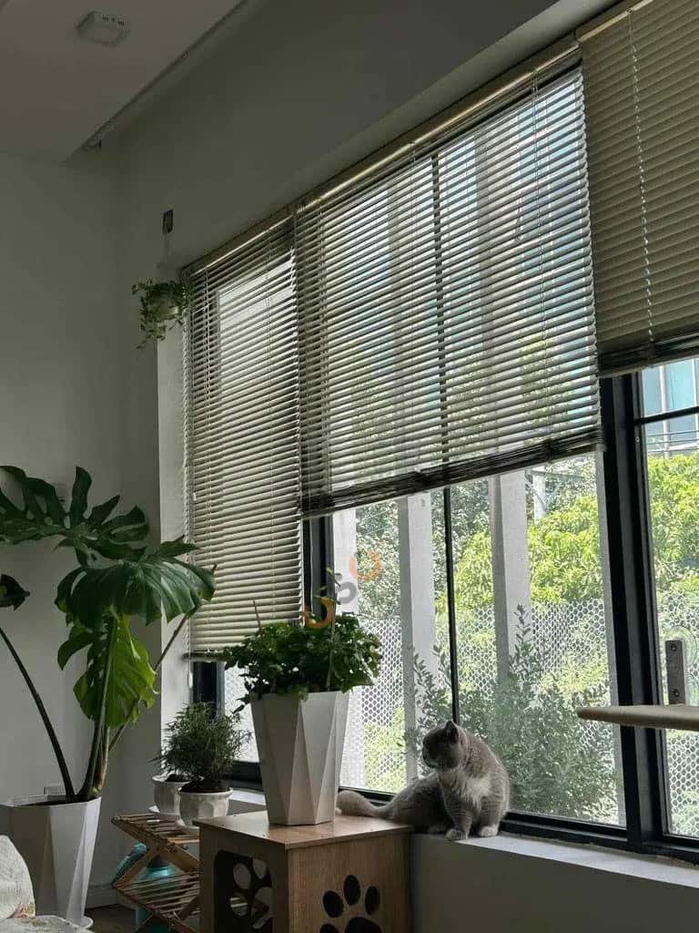 Cho thuê căn hộ chung cư Đường số 1 Quận 2 cũ, TP. Thủ Đức – giá 7 triệu — Hình 2 Cho thuê căn hộ chung cư Đường số 1 Quận 2 cũ, TP. Thủ Đức – giá 7 triệu — Hình 2