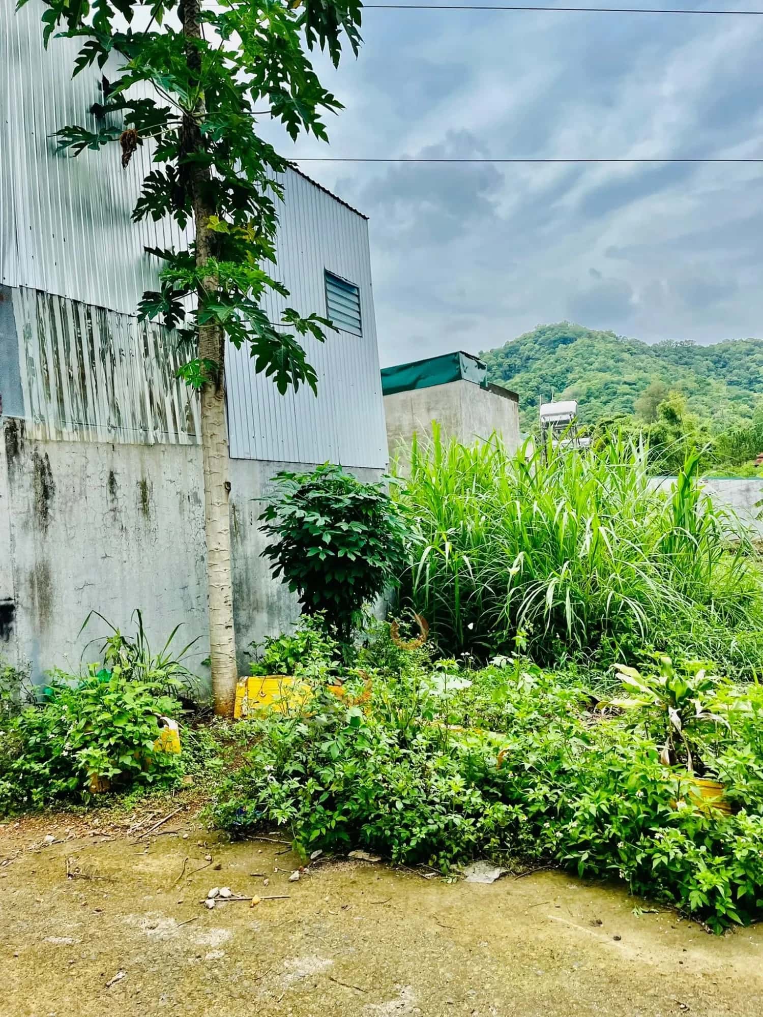 Bán đất Tạ Quang Bửu Thành phố Buôn Ma Thuột, Đắk Lắk – giá 830 triệu