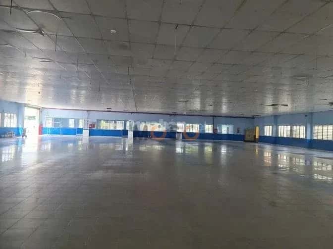 Cho thuê kho, nhà xưởng Trường Chinh Quận Tân Bình, TP.HCM – giá 170 triệu — Hình 3