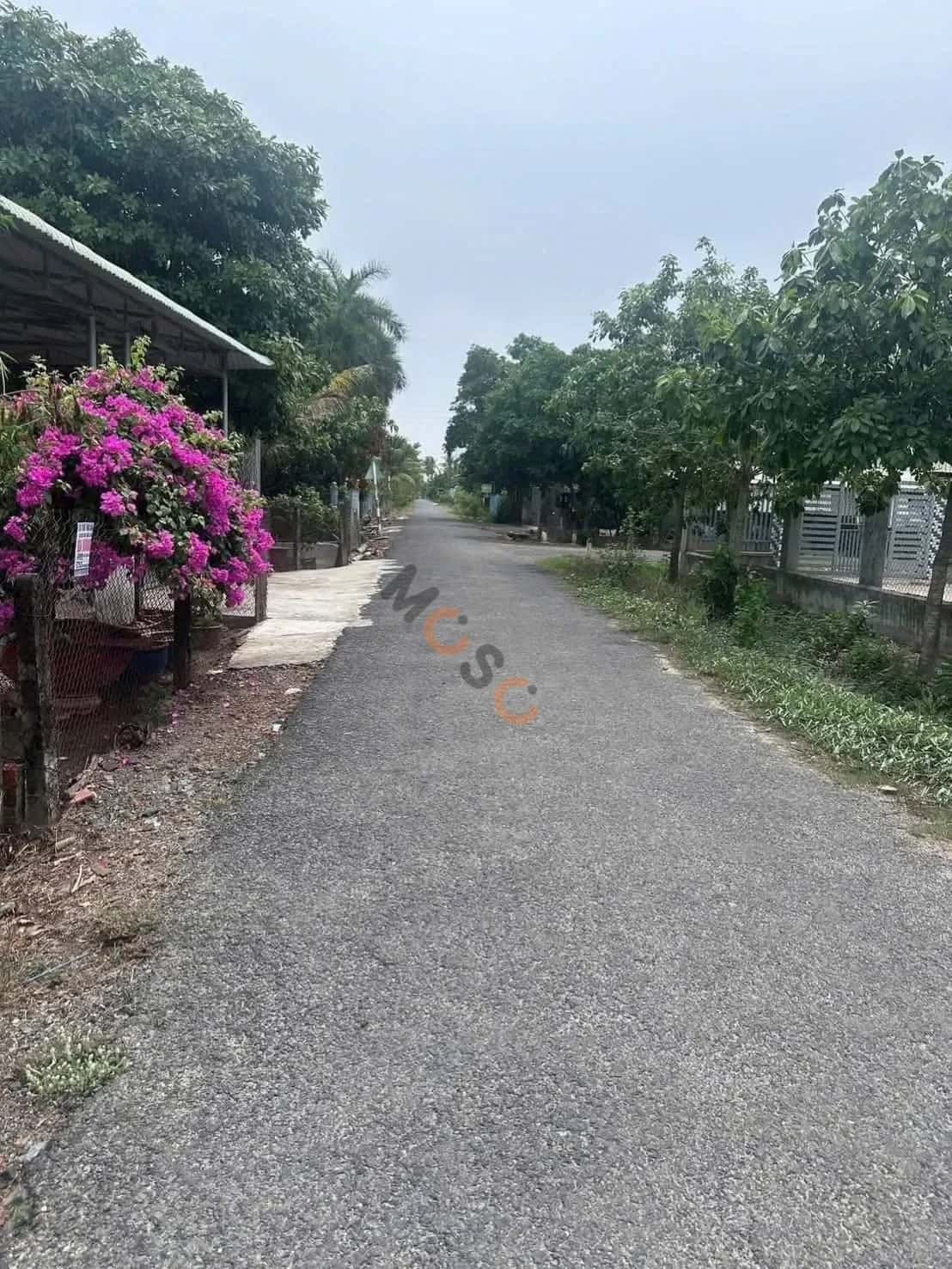 Bán nhà mặt tiền ấp Nam Bến Sỏi Huyện Châu Thành, Tây Ninh – 2 phòng ngủ, giá 580 triệu - ảnh 5