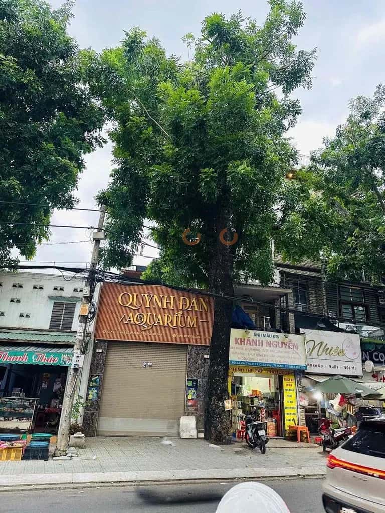 Cho thuê nhà mặt tiền Lê Văn Thọ Gò Vấp, TP.HCM – 4 phòng ngủ, giá 25 triệu