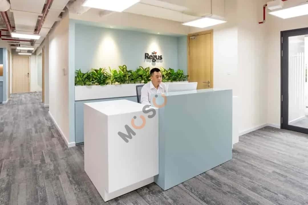Cho thuê văn phòng Võ Trường Toản Thành phố Hồ Chí Minh, TP.HCM – giá 6 triệu — Hình 3