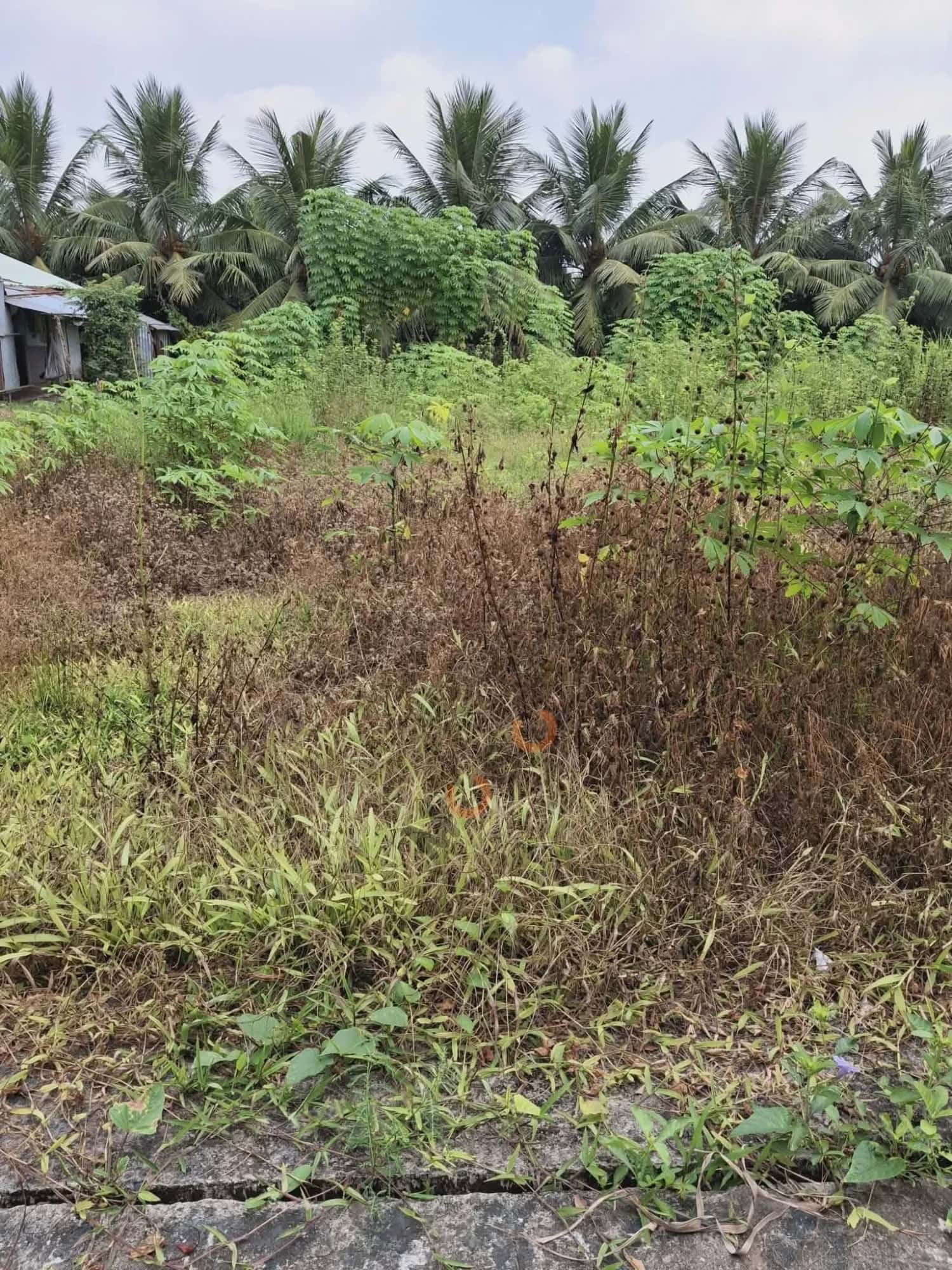 Bán đất Ấp Bình Lợi Thành phố Mỹ Tho, Tiền Giang – giá 580 triệu Bán đất Ấp Bình Lợi Thành phố Mỹ Tho, Tiền Giang – giá 580 triệu