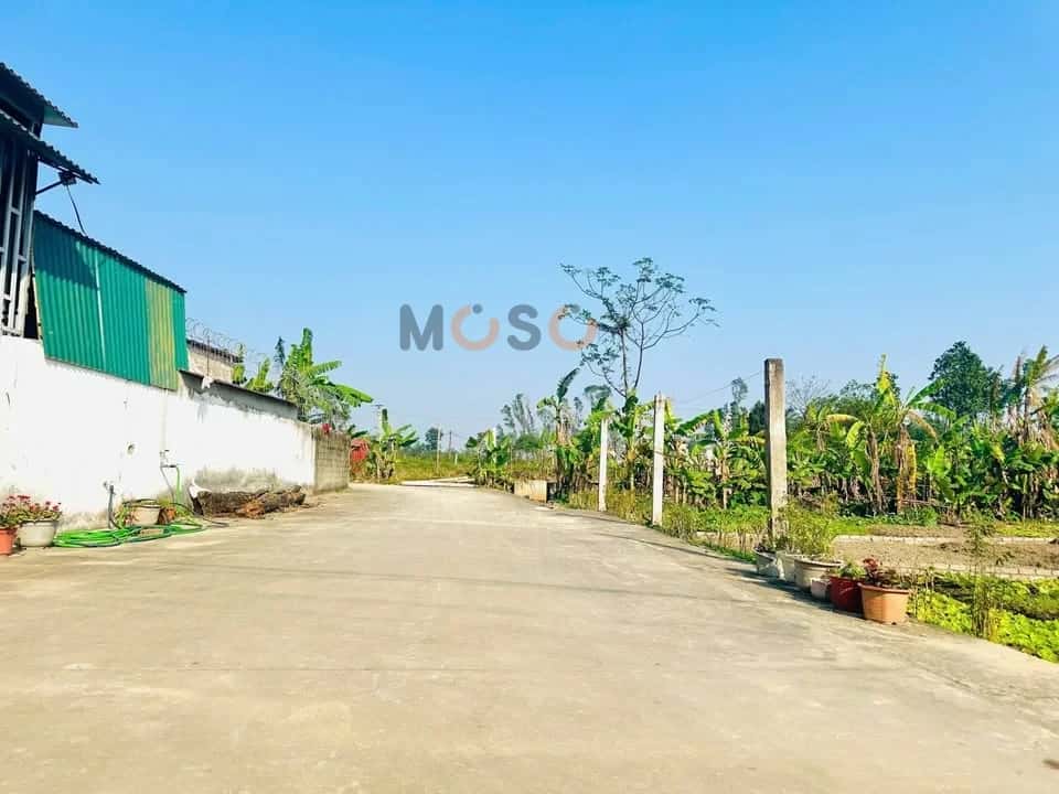 Bán đất Xóm Nam Liên Thành phố Vinh, Nghệ An – giá 1.8 tỷ — Hình 3 Bán đất Xóm Nam Liên Thành phố Vinh, Nghệ An – giá 1.8 tỷ — Hình 3