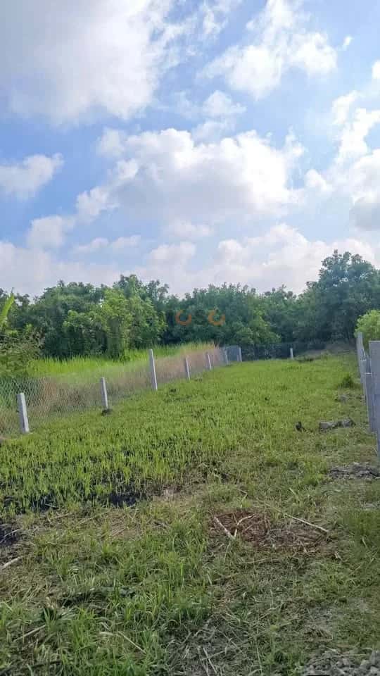 Bán đất Ấp Nhơn Lộc 1A Huyện Phong Điền, TP. Cần Thơ – giá 1.4 tỷ — Hình 2