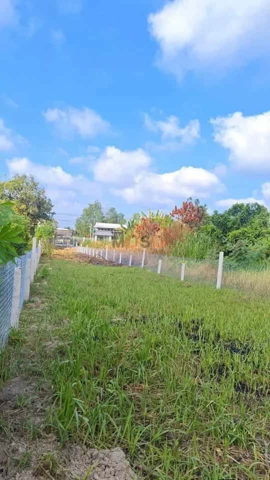 Bán đất Ấp Nhơn Lộc 1A Huyện Phong Điền, TP. Cần Thơ – giá 1.4 tỷ