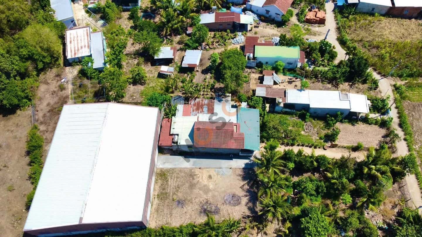 Bán đất thôn An Định Huyện Diên Khánh, Khánh Hòa – giá 480 triệu - ảnh 4