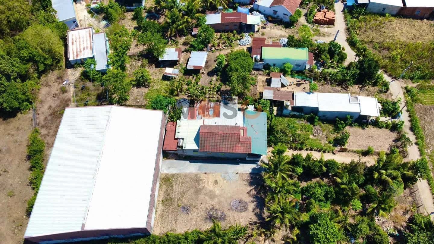 Bán đất Thôn An Định Huyện Diên Khánh, Khánh Hòa – giá 480 triệu - ảnh 4