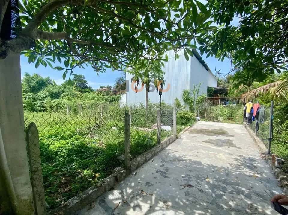 Bán đất thôn Phú Vinh Thành phố Nha Trang, Khánh Hòa – giá 1.6 tỷ - ảnh 2