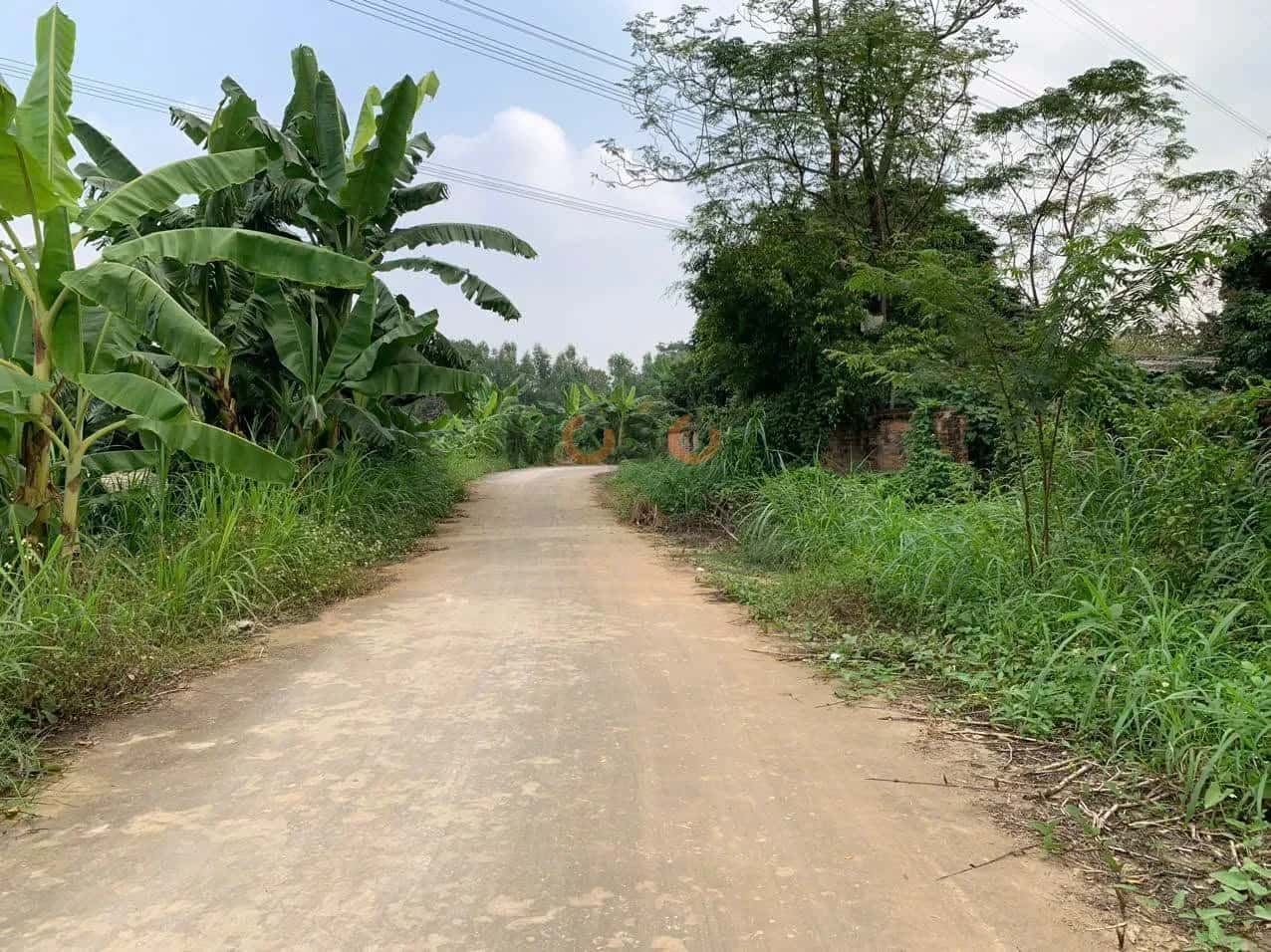 Bán đất Đất Khu 4 Huyện Phù Ninh, Phú Thọ – giá 1.3 tỷ — Hình 2