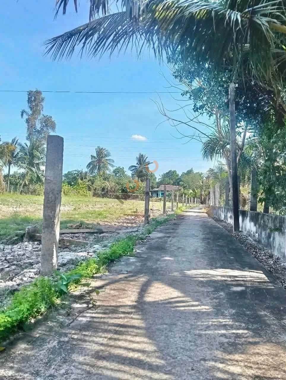 Bán đất Trần Văn Ngàn Thành phố Tân An, Long An – giá 450 triệu Bán đất Trần Văn Ngàn Thành phố Tân An, Long An – giá 450 triệu