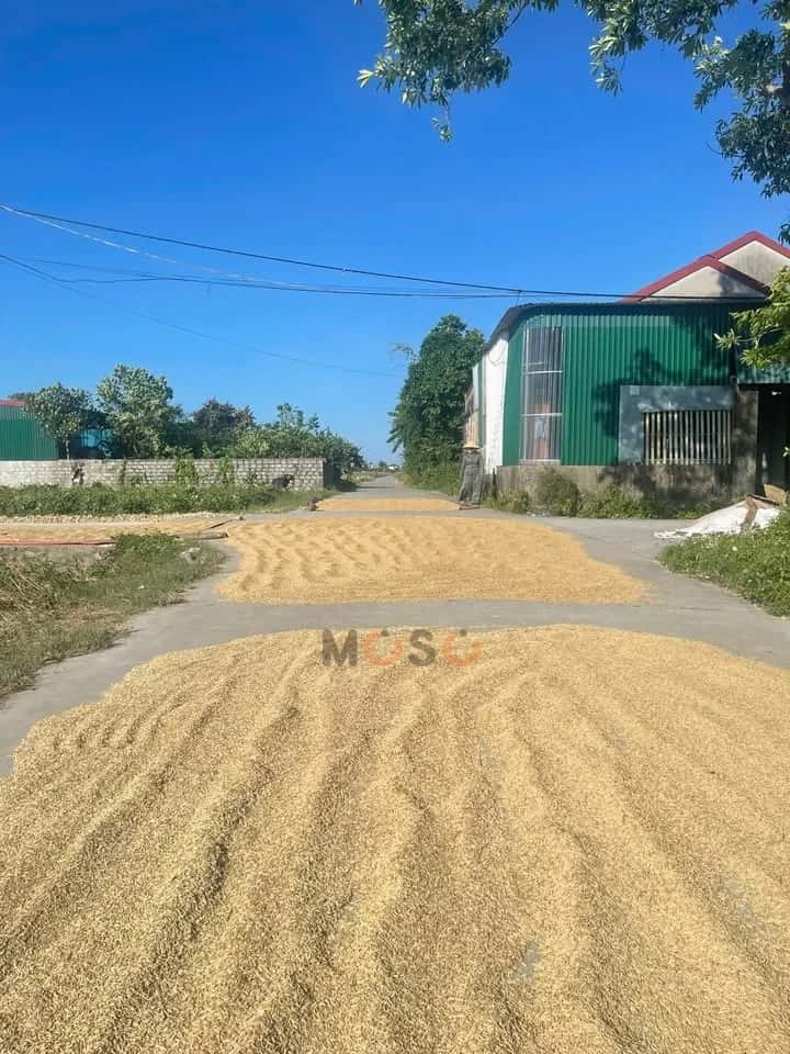 Bán đất Xóm Trường Sơn Huyện Nghi Lộc, Nghệ An – giá 1.4 tỷ — Hình 2