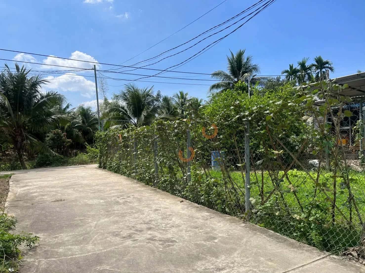 Bán đất Thôn Thanh Minh 2 Huyện Diên Khánh, Khánh Hòa – giá 790 triệu - ảnh 3