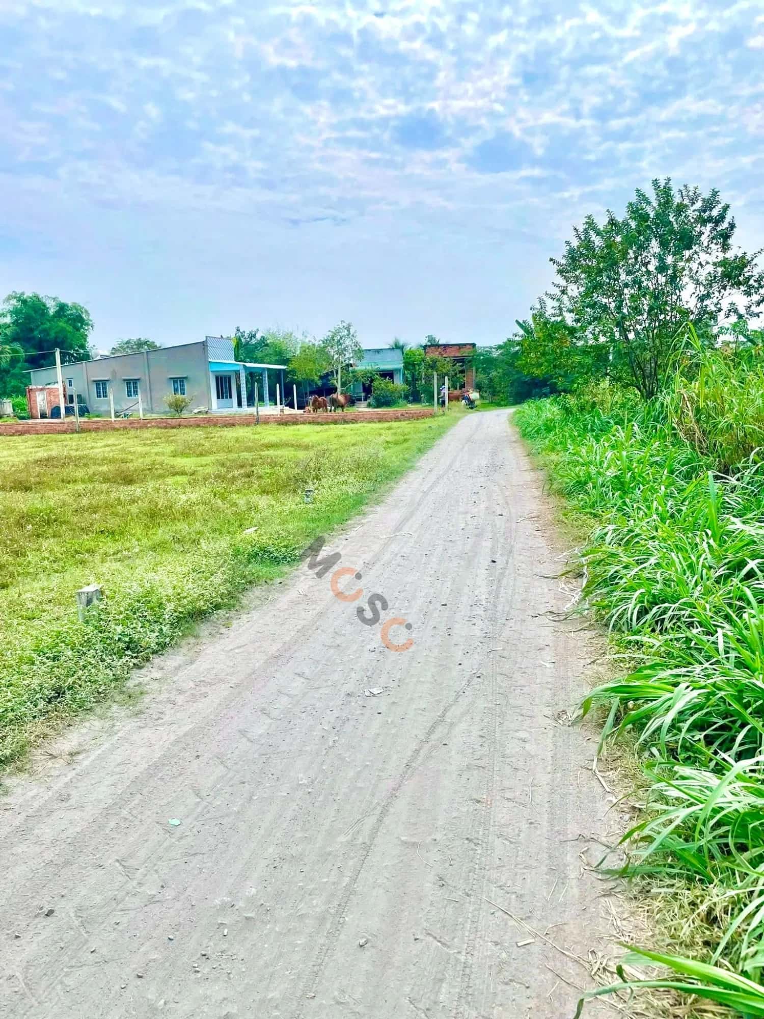 Bán đất Ấp Đức Hạnh 1 Huyện Đức Hòa, Long An – giá 899 triệu — Hình 3 Bán đất Ấp Đức Hạnh 1 Huyện Đức Hòa, Long An – giá 899 triệu — Hình 3