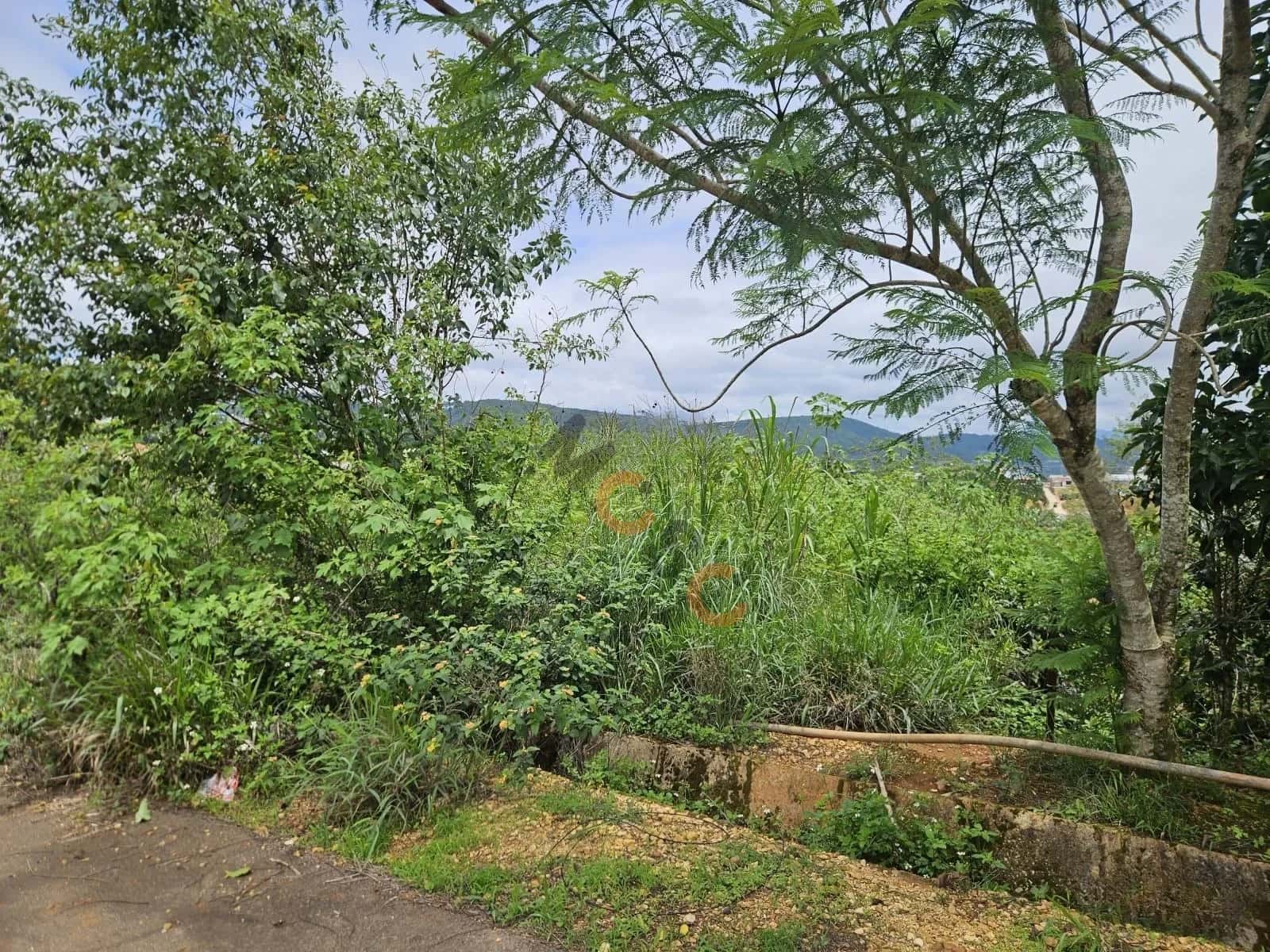 Bán đất KQH Trường Xuân 2 Thành phố Đà Lạt, Lâm Đồng – giá 7 tỷ