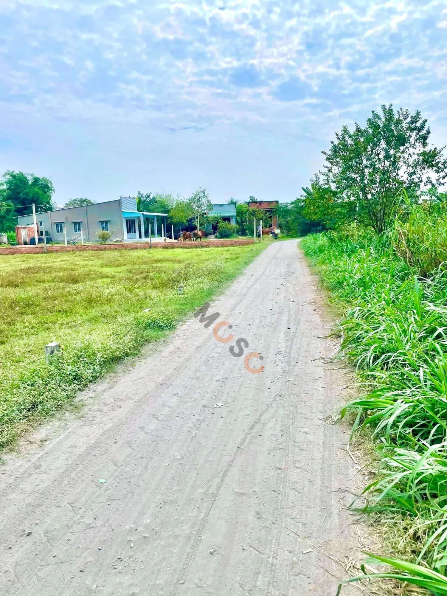 Bán đất Ấp Đức Hạnh 1 Huyện Đức Hòa, Long An – giá 899 triệu — Hình 3