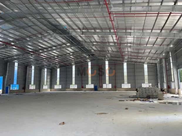 Cho thuê kho, nhà xưởng Đại Lộ Bình Dương Thị xã Bến Cát, Bình Dương – giá 290 triệu — Hình 3