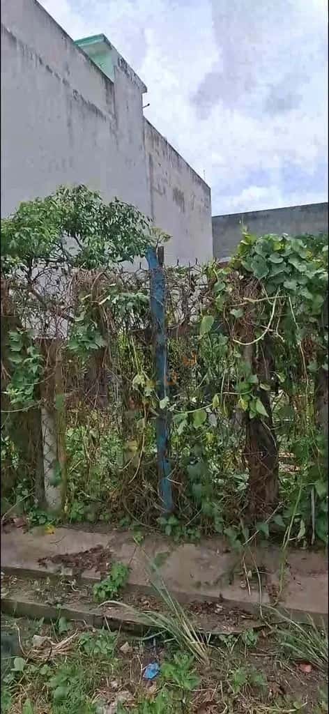 Bán đất Đường số 3 Huyện Bến Lức, Long An – giá 2.5 tỷ