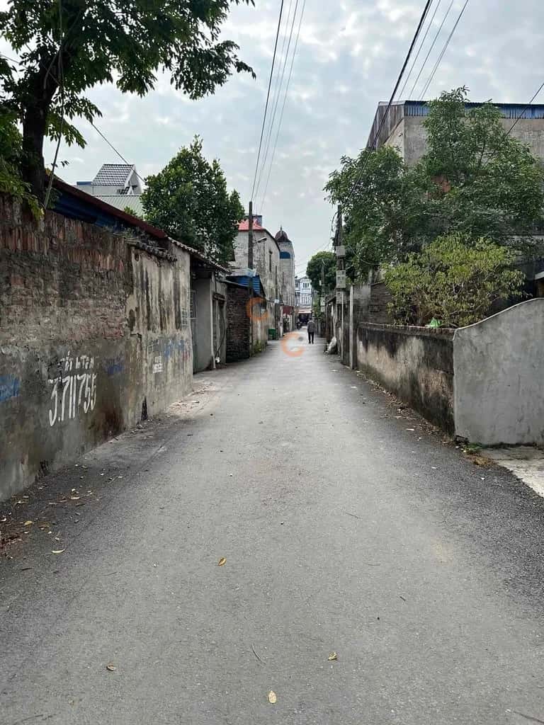 Bán đất Thôn Cảnh Lâm Huyện Yên Mỹ, Hưng Yên – giá 1.3 tỷ — Hình 2 Bán đất Thôn Cảnh Lâm Huyện Yên Mỹ, Hưng Yên – giá 1.3 tỷ — Hình 2