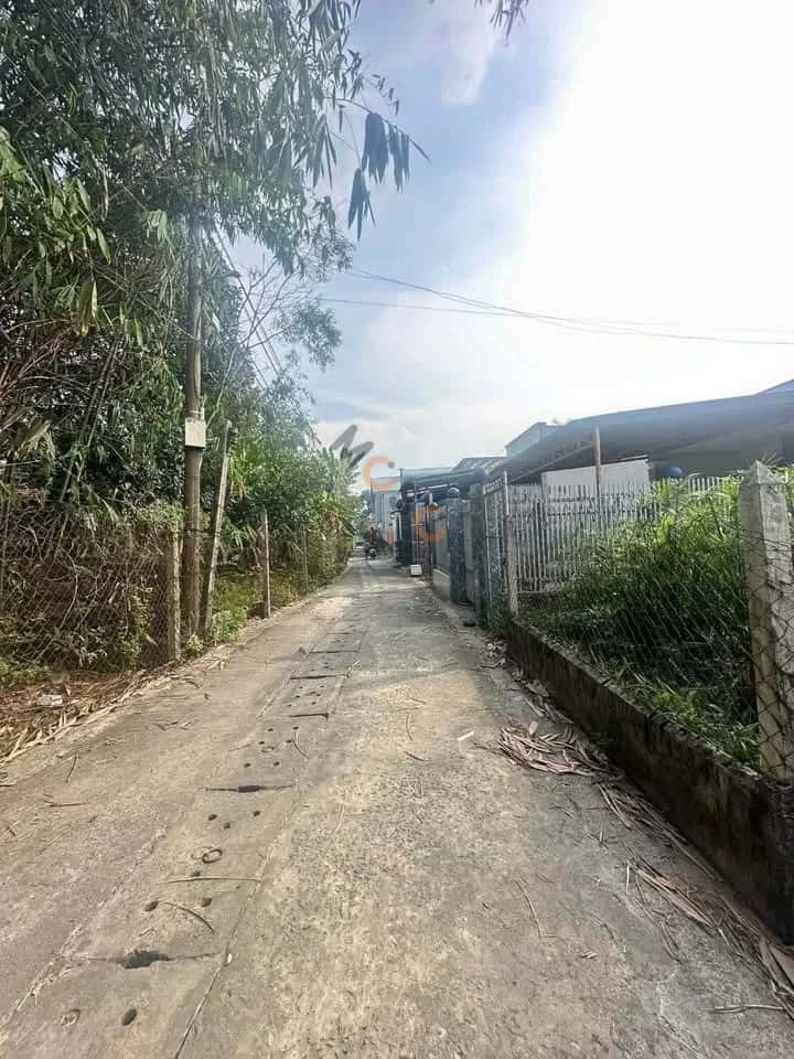 Bán đất hẻm 1218 Nguyễn Chí Thanh Thành phố Thủ Dầu Một, Bình Dương – giá 1.4 tỷ - ảnh 2