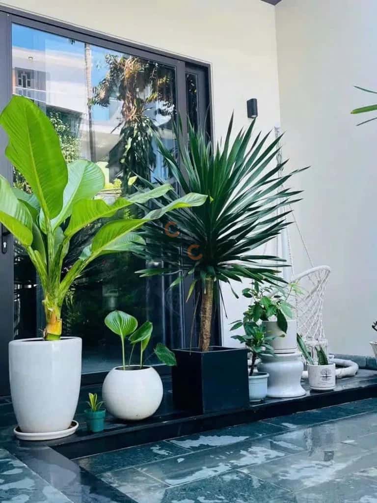 Cho thuê nhà hẻm Hà Huy Tập Thanh Khê, Đà Nẵng – 3 phòng ngủ, giá 20 triệu — Hình 2