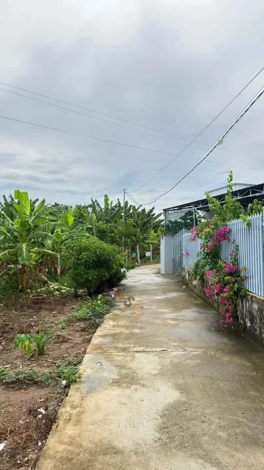 Bán đất Thôn Phước Tuy 2 Huyện Diên Khánh, Khánh Hòa – giá 490 triệu - ảnh 3