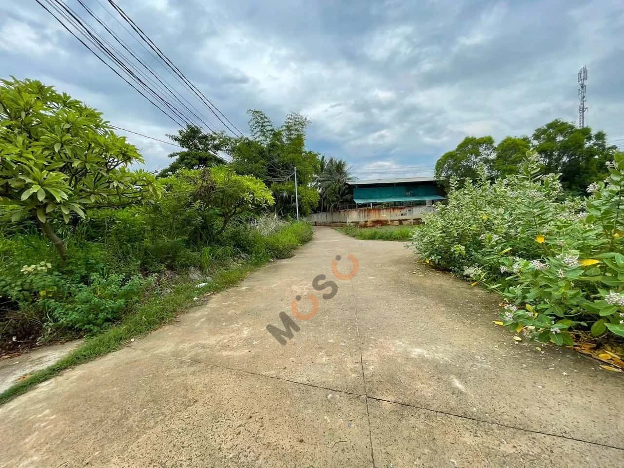 Bán đất Thôn Vĩnh Điềm Thượng Thành phố Nha Trang, Khánh Hòa – giá 1.7 tỷ - ảnh 3