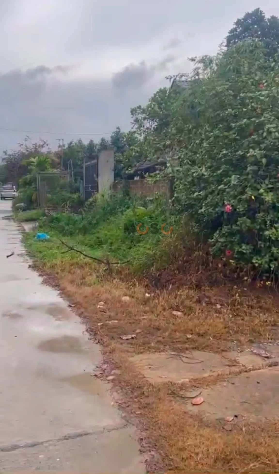 Bán đất Khu Đồng Khanh Huyện Yên Lập, Phú Thọ – giá 450 triệu — Hình 2 Bán đất Khu Đồng Khanh Huyện Yên Lập, Phú Thọ – giá 450 triệu — Hình 2