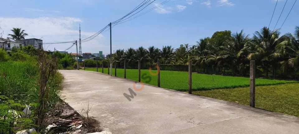 Bán đất Thôn Phú Thạnh Thành phố Nha Trang, Khánh Hòa – giá 1.6 tỷ - ảnh 2