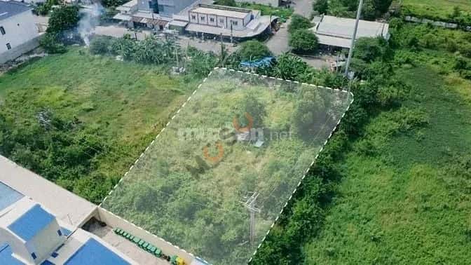 Cho thuê nhà mặt tiền Tân Đức Hải Sơn Huyện Đức Hoà, Long An – giá 65 triệu — Hình 3