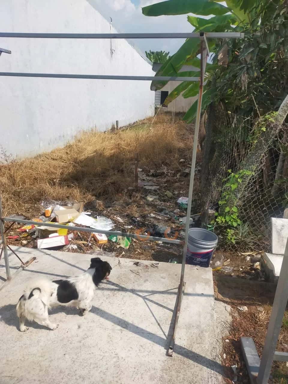 Bán đất đường số 2, Ấp Phước Hòa Huyện Châu Thành, Kiên Giang – giá 540 triệu Bán đất đường số 2, Ấp Phước Hòa Huyện Châu Thành, Kiên Giang – giá 540 triệu